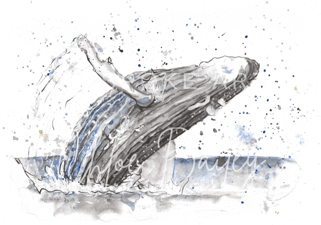 ‘Wilson’ Print