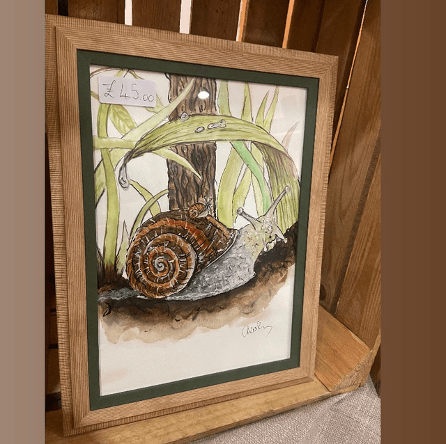 Original ‘Seymour’ the snail A4 painting in light wood and khaki frame 