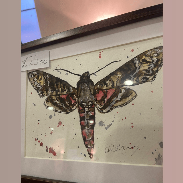 Original ‘Morticia’ Moth 5 x 7 painting in dark wood frame 