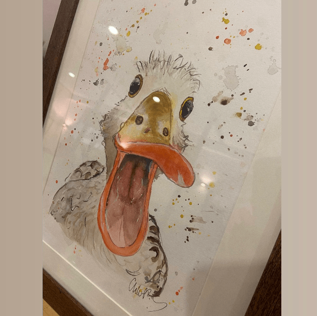 Original ‘Harold’ the Duck A4 Painting in frame 