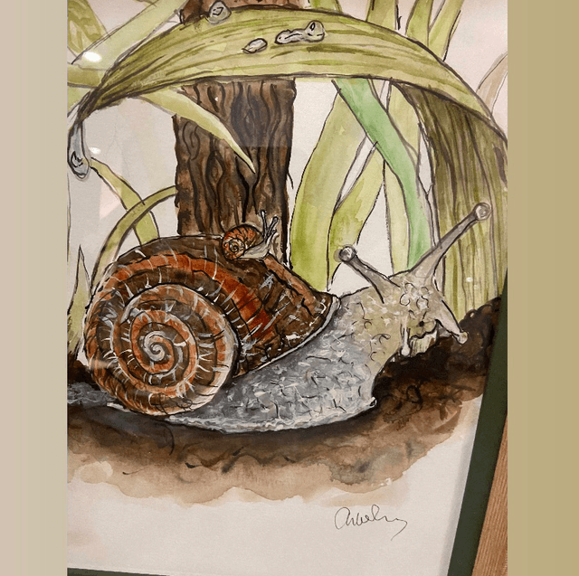 Original ‘Seymour’ the snail A4 painting in light wood and khaki frame 