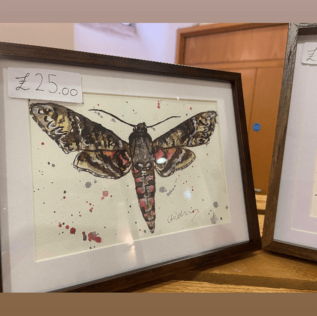 Original ‘Morticia’ Moth 5 x 7 painting in dark wood frame 