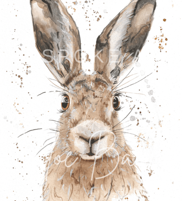 ‘Harrison’ Print