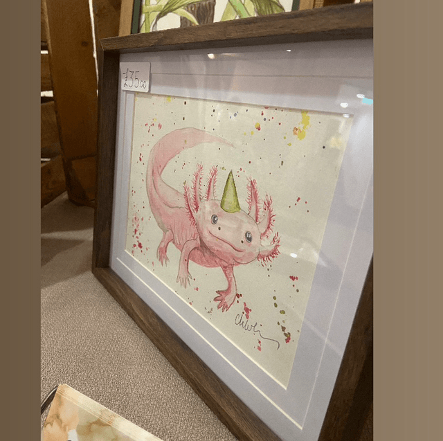Original ‘Birthday Axolotl’ A5 painting in dark wood frame 