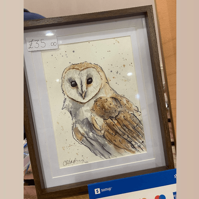 Original ‘Barney’ the Barn Owl A5 print in dark wood effect frame 