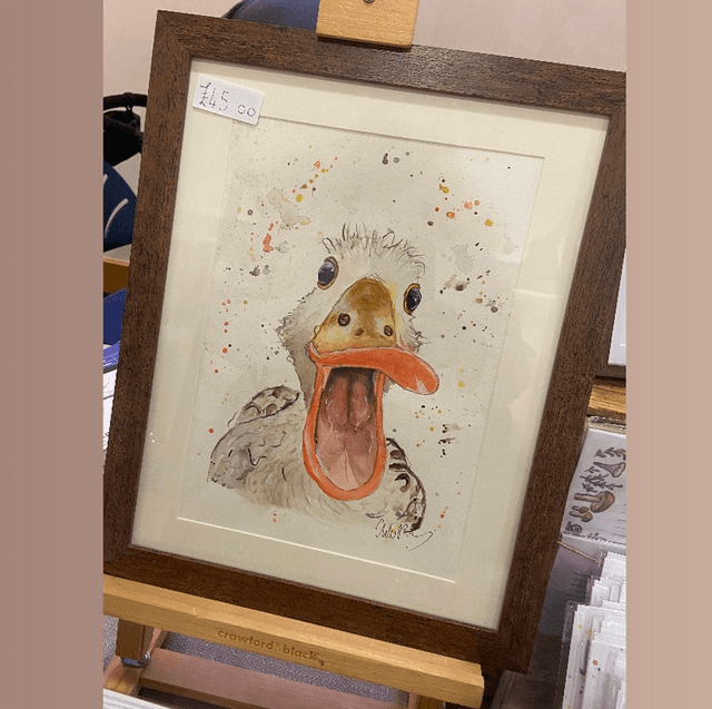 Original ‘Harold’ the Duck A4 Painting in frame 