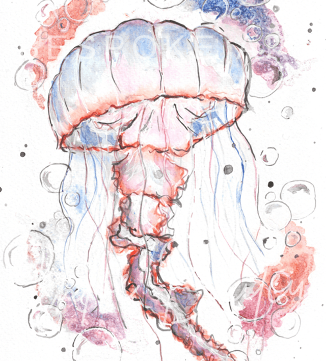‘Julia’ Print